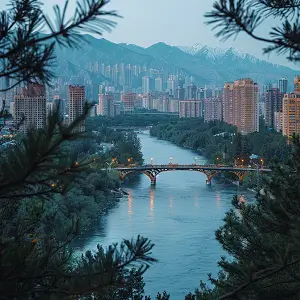 关于鲁迅的和含义